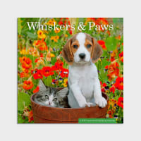 2023 Wall Calendar: Whisker & Paws Calendar