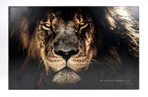 Wall Art: Lion, the Righteous Are as Bold as a Lion (Proverbs 28:1)
