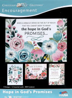 Boxed Cards: Encouragement - Hope in God's Promises (Kjv) Box