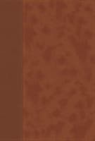 NIV Personal Size Bible Large Print Brown (Red Letter Edition) Premium Imitation Leather
