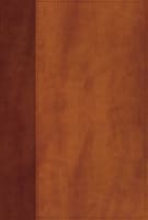 NIV Giant Print Compact Bible Brown (Red Letter Edition) Premium Imitation Leather