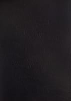 ESV Thompson Chain-Reference Bible Black Thumb Indexed (Red Letter Edition) Bonded Leather