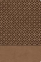 KJV Study Bible Indexed Brown (Red Letter Edition) (Second Edition) Imitation Leather