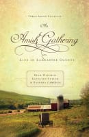 Amishg: Life in Lancaster County (Amish Beginnings Novel Series) Paperback