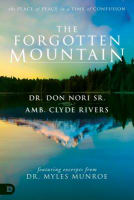 The Forgotten Mountain Paperback