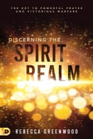 Discerning the Spirit Realm: The Key to Powerful Prayer and Victorious Warfare Paperback