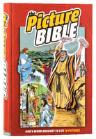 The Picture Bible (Hardcover) Hardback