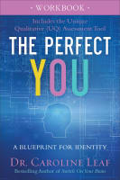 The Perfect You: A Blueprint For Identity (Workbook) Paperback