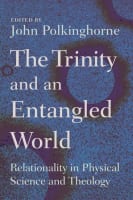 The Trinity and the Entangled World Paperback