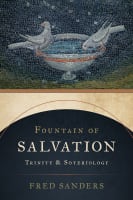 Fountain of Salvation: Trinity and Soteriology Paperback