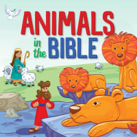 Animals in the Bible Board Book