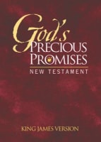 KJV God's Precious Promises New Testament Burgundy Paperback