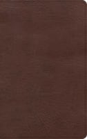 KJV Single-Column Personal Size Bible Black/Brown (Red Letter Edition) Imitation Leather