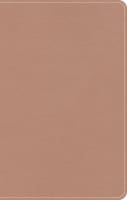 KJV On-The-Go Bible Personal Size Rose Gold (Red Letter Edition) Imitation Leather
