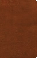 CSB Thinline Reference Bible Burnt Sienna (Red Letter Edition) Imitation Leather