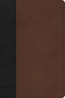 CSB Large Print Thinline Bible Black/Brown (Red Letter Edition) Imitation Leather