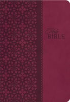 KJV Study Bible Cranberry With Indexing (Second Edition) Imitation Leather