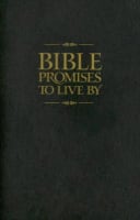 Bible Promises to Live By Paperback