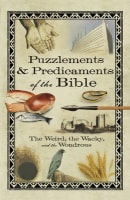 Puzzlements & Predicaments of the Bible Paperback