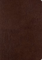ESV Single Column Journaling Bible Large Print Mocha (Black Letter Edition) Bonded Leather