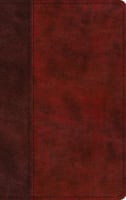 ESV Large Print Thinline Bible Burgundy/Red Timeless Design (Black Letter Edition) Imitation Leather