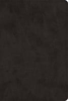 ESV Bible With Creeds and Confessions Black (Black Letter Edition) Imitation Leather