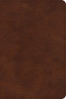 ESV Large Print Bible Deep Brown (Black Letter Edition) Imitation Leather