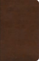 ESV Concise Study Bible Brown (Black Letter Edition) Imitation Leather
