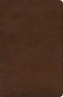 ESV Spanish/English Parallel Bible Brown (Black Letter Edition) (La Santa Biblia Rvr / The Holy Bible Esv) Imitation Leather