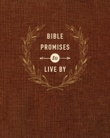 Bible Promises to Live By Imitation Leather