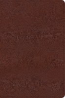 CSB Verse-By-Verse Reference Bible Brown (Black Letter Edition) Bonded Leather