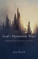 God's Mysterious Ways: Embracing God's Providence in Esther Paperback