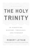 The Holy Trinity: In Scripture, History, Theology, and Worship Paperback