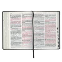 KJV Super Giant Print Bible Two-Tone Gray Thumb Index (Red Letter Edition) Imitation Leather