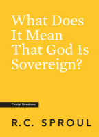 What Does It Mean That God is Sovereign? (Crucial Questions Series) Paperback