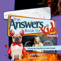 Answers Book For Kids #08: Satan and Angels Hardback
