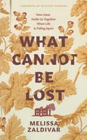 What Cannot Be Lost: How Jesus Holds Us Together When Life is Falling Apart Paperback