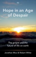 Hope in An Age of Despair Large Format Paperback