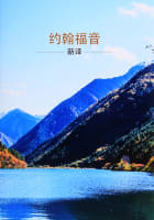 Chinese Gospel According to John (Black Letter Edition) Paperback