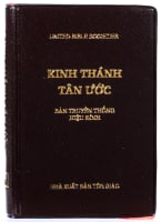 Vietnamese New Testament (Modern Translation) Paperback