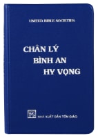 Vietnamese New Testament (Traditional Translation) Paperback