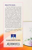 Punjabi New Testament Traditional Translation (India/pakistan) Paperback